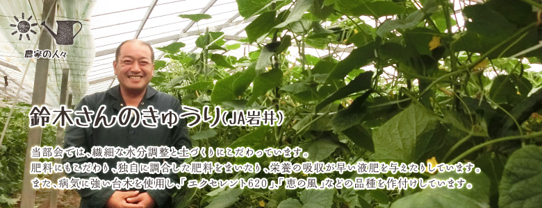 当部会では、繊細な水分調整と土づくりにこだわっています。肥料にもこだわり、独自に調合した肥料をまいたり、栄養の吸収が早い液肥を与えたりしています。また、病気に強い台木を使用し、「エクセレント620」、「恵の風」などの品種を作付けしています。