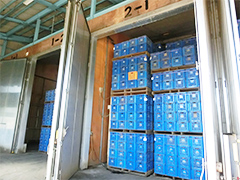 image4.jpg