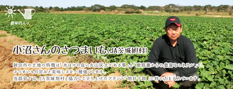 鉾田市の土地の特徴は「水はけの良い火山灰土である事」と「鹿島灘からの豊富なミネラル」で、さつまいもの甘みと美味しさを一層強くします。当部会では、JA茨城旭村と協力して立ち上げたブランド「旭甘十郎」に特に力を入れています。