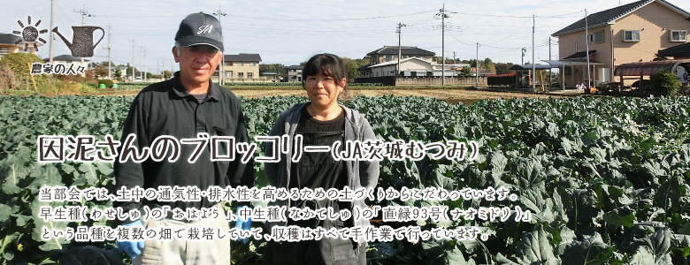 当部会では、土中の通気性・排水性を高めるための土づくりからこだわっています。
早生種（わせしゅ）の「おはよう」、中生種（なかてしゅ）の「直緑93号（ナオミドリ）」
という品種を複数の畑で栽培していて、収穫はすべて手作業で行っています。