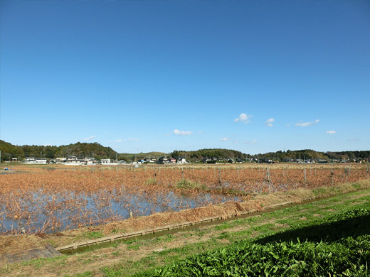 image2.jpg