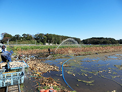 image3.jpg