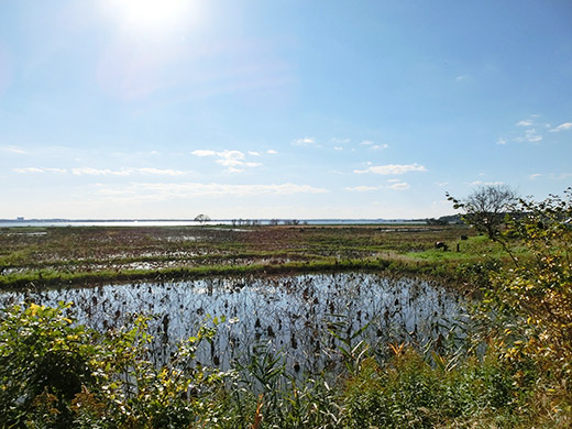 image4.jpg