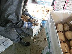 image7.jpg