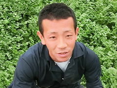 JAなめがた 北浦地区葉物部会香菜部 野原 豊一さん
