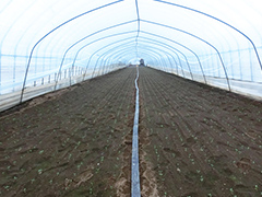 image3.jpg