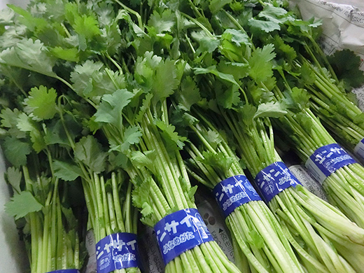 image6.jpg