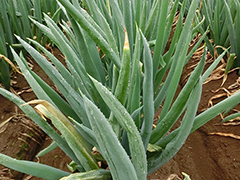 image2.jpg