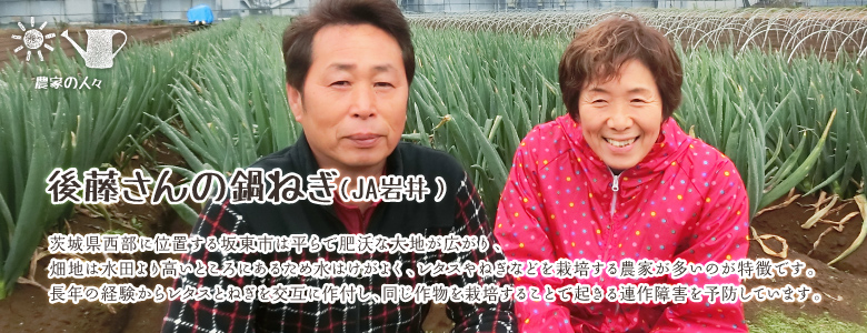 茨城県西部に位置する坂東市は平らで肥沃な大地が広がり、
畑地は水田より高いところにあるため水はけがよく、レタスやねぎなどを栽培する農家が多いのが特徴です。
長年の経験からレタスとねぎを交互に作付し、同じ作物を栽培することで起きる連作障害を予防しています。