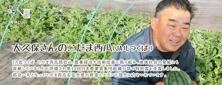 JA北つくば こだま西瓜部会は、農業経営や技術改善に取り組み、地域社会の発展にも貢献していることが評価され第48回日本農業賞集団組織の部で特別賞を受賞しました。
部会一丸となってこだま西瓜安定生産の推進とブランド強化に力をいれています。