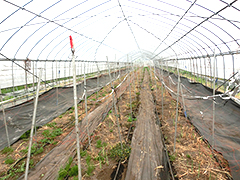 image2.jpg