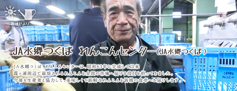 JA水郷つくば れんこんセンターは、昭和63年に完成して以来
霞ヶ浦周辺で栽培されるれんこんを全国の市場へ届ける役目を担ってきました。
今後も生産者と協力して、美味しくて新鮮なれんこんを皆様の食卓へお届けします。