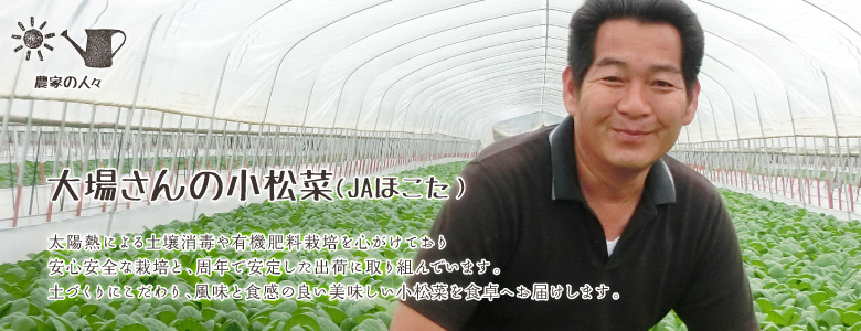 太陽熱による土壌消毒や有機肥料栽培を心がけており
安心安全な栽培と、周年で安定した出荷に取り組んでいます。
土づくりにこだわり、風味と食感の良い美味しい小松菜を食卓へお届けします。