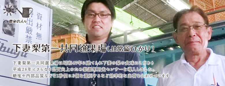 下妻梨第一共同選果場は昭和47年に建てられ下妻の梨の食味にこだわり
平成28年にさらなる品質向上のため梨選果用光センサーを導入しました。 
糖度や内部品質などを1秒間に3個を選別するなど効率的な出荷を心がけています。