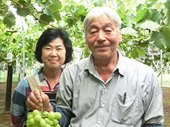 JAやさとぶどう部会 部会長 開田さんご夫婦