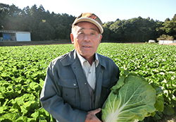 JA茨城むつみ猿島地区野菜生産部会 青木さん