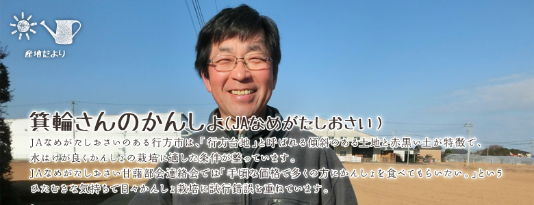 JAなめがたしおさいのある行方市は、「行方台地」と呼ばれる傾斜のある土地と赤黒い土が特徴で、水はけが良くかんしょの栽培に適した条件が整っています。JAなめがたしおさい甘藷部会連絡会では「手頃な価格で多くの方にかんしょを食べてもらいたい。」というひたむきな気持ちで日々かんしょ栽培に試行錯誤を重ねています。