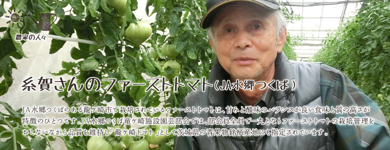 JA水郷つくばのある龍ケ崎市で栽培されているファーストトマトは、甘みと酸味のバランスが良い食味と質の高さが特徴のひとつです。JA水郷つくば竜ケ崎施設園芸部会では、部会員全員で一丸となりファーストトマトの栽培管理をおこないながら品質を維持し「龍ケ崎トマト」として茨城県の青果物銘柄産地にも指定されています。