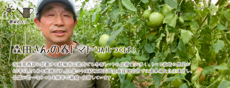 茨城県西部に位置する結城市は県内でも冬春トマトの出荷量が多く、トマト栽培の歴史が60年以上もある地域です。JA北つくば結城園芸部会施設園芸部では選果場を自主運営し、品質が均一なトマトを周年で栽培・出荷しています。