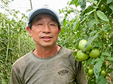 森田さんの春トマト