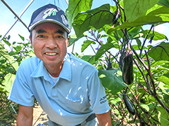 JA茨城むつみ総和地区園芸部会 部会長 舘野さん