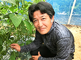 鶴井さんのいんげん