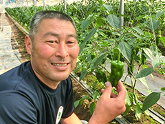 JAなめがたしおさい波崎青販部会 副部会長 高田さん