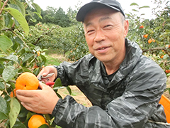 JAやさと園部柿部会 部会長 藤岡さん