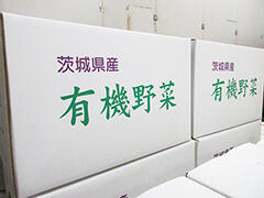 image4.jpg