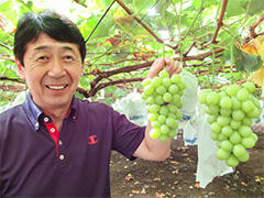 JA常総ひかり下妻市ぶどう出荷組合 野尻さん