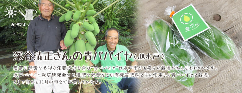 豊富な酵素や多彩な栄養成分を含む"青パパイヤ"は水戸市でも盛んに栽培がおこなわれています。水戸パパイヤ栽培研究会では堆肥や米糠などの有機質肥料を主に使用して青パパイヤを栽培、8月下旬から11月中旬まで出荷しています。
