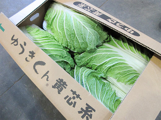 image1.jpg