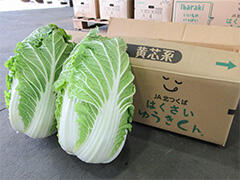 image6.jpg