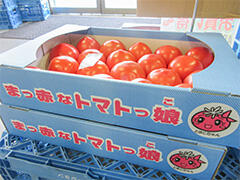 image6.jpg