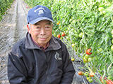 秋田さんの冬春トマト