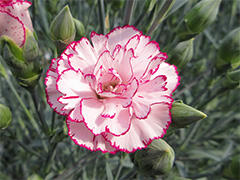 image3.jpg