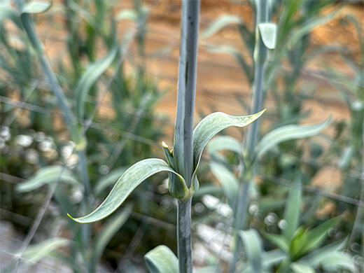 image7.jpg