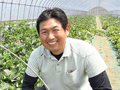 JA水戸 茨城町メロン部会 福島さん