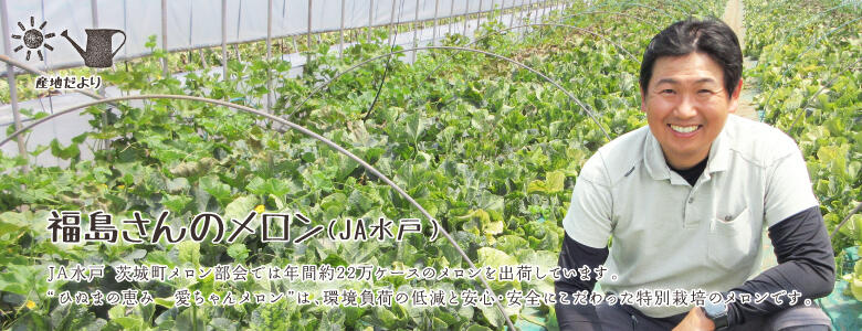JA水戸 茨城町メロン部会では年間約22万ケースのメロンを出荷しています。"ひぬまの恵み　愛ちゃんメロン"は、環境負荷の低減と安心・安全にこだわった特別栽培のメロンです。
