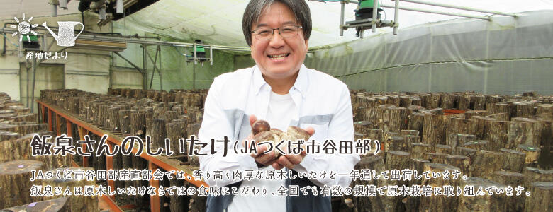 JAつくば市谷田部産直部会では、香り高く肉厚な原木しいたけを一年通して出荷しています。飯泉さんは原木しいたけならではの食味にこだわり、全国でも有数の規模で原木栽培に取り組んでいます。