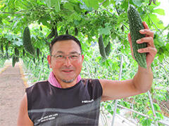 JA茨城むつみ三和地区野菜生産部会 苦瓜銘柄部長 奈桐さん