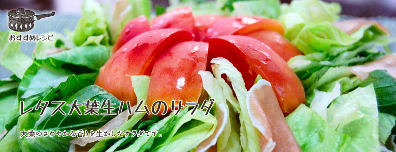 レタス大葉生ハムのサラダ。大葉のさわやかな香りを生かしたサラダです。