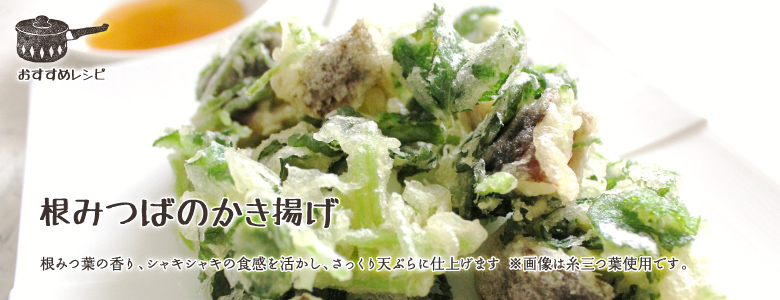 根みつ葉の香り、シャキシャキの食感を活かし、さっくり天ぷらに仕上げます<br>※画像は糸三つ葉使用です。