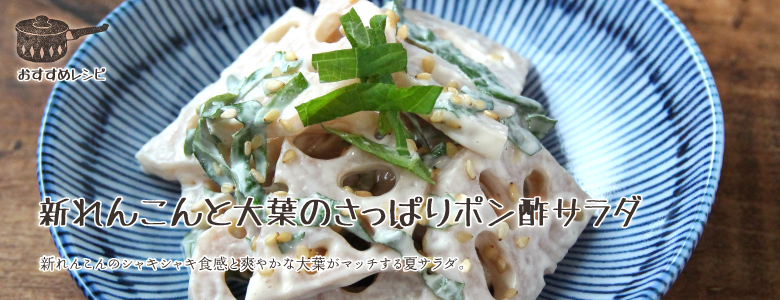 新れんこんのシャキシャキ食感と爽やかな大葉がマッチする夏サラダ。
