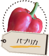 パプリカ