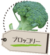 ブロッコリー