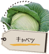 キャベツ