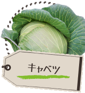 キャベツ