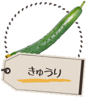 きゅうり
