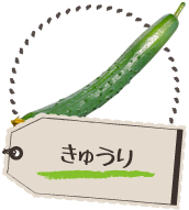 きゅうり